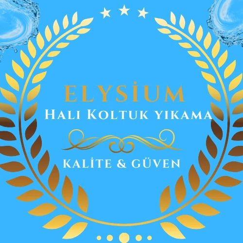 Döşemealtı Halı Yıkama