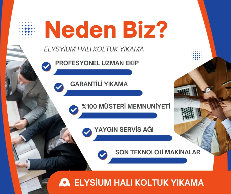 Antalya Halı Yıkama Elysium
